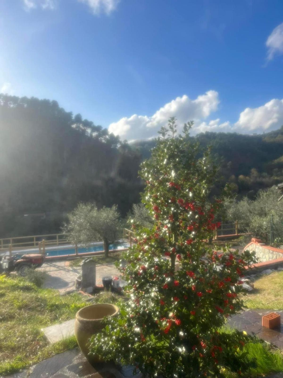 Podere Il Glicine Wellness Charme & Relax Fresonara  エクステリア 写真
